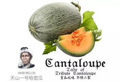 乌拉吃瓜爆料是真的吗,真相揭秘，是真是假？